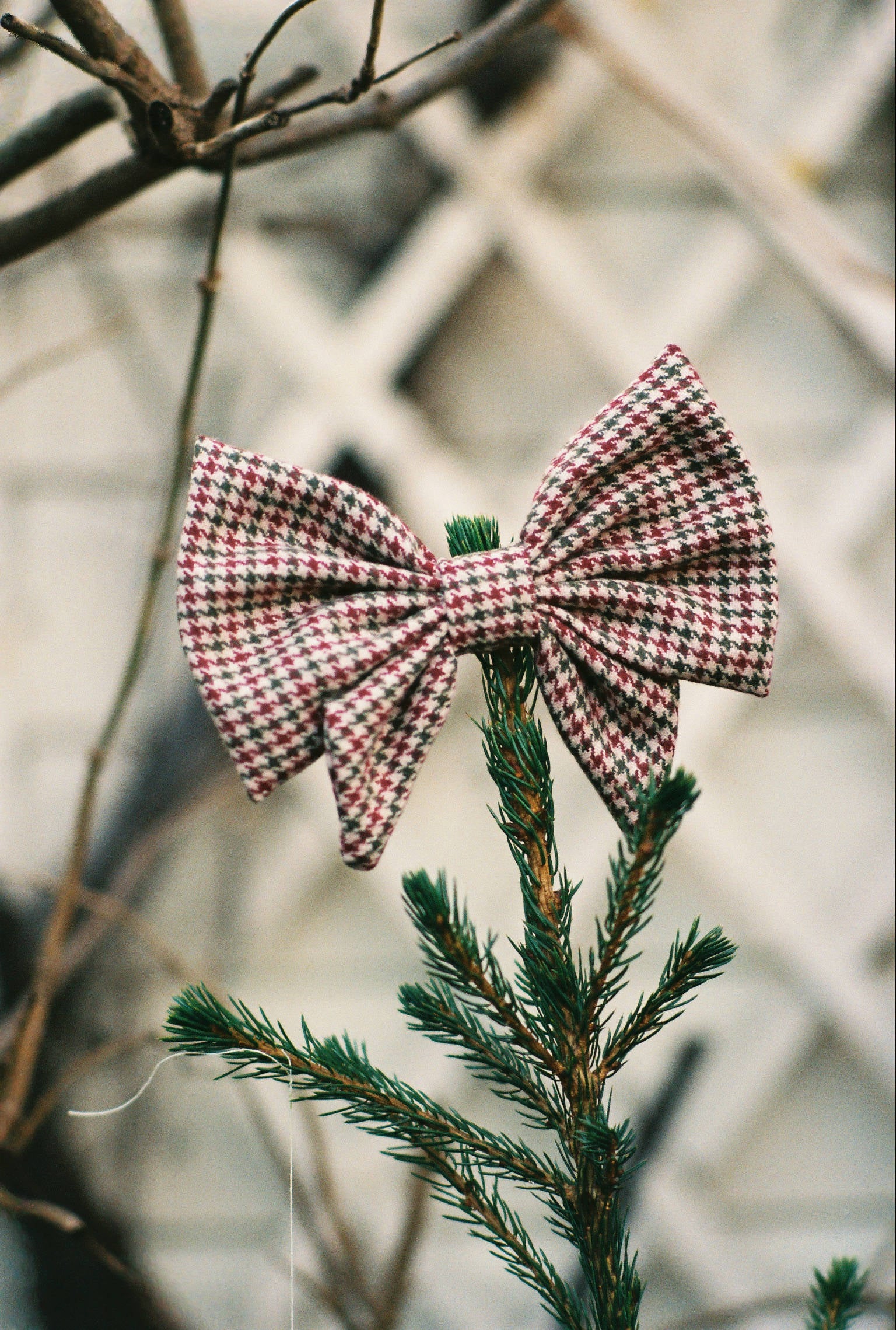 Bow Barrette - Mandelieu - Pied de Poule