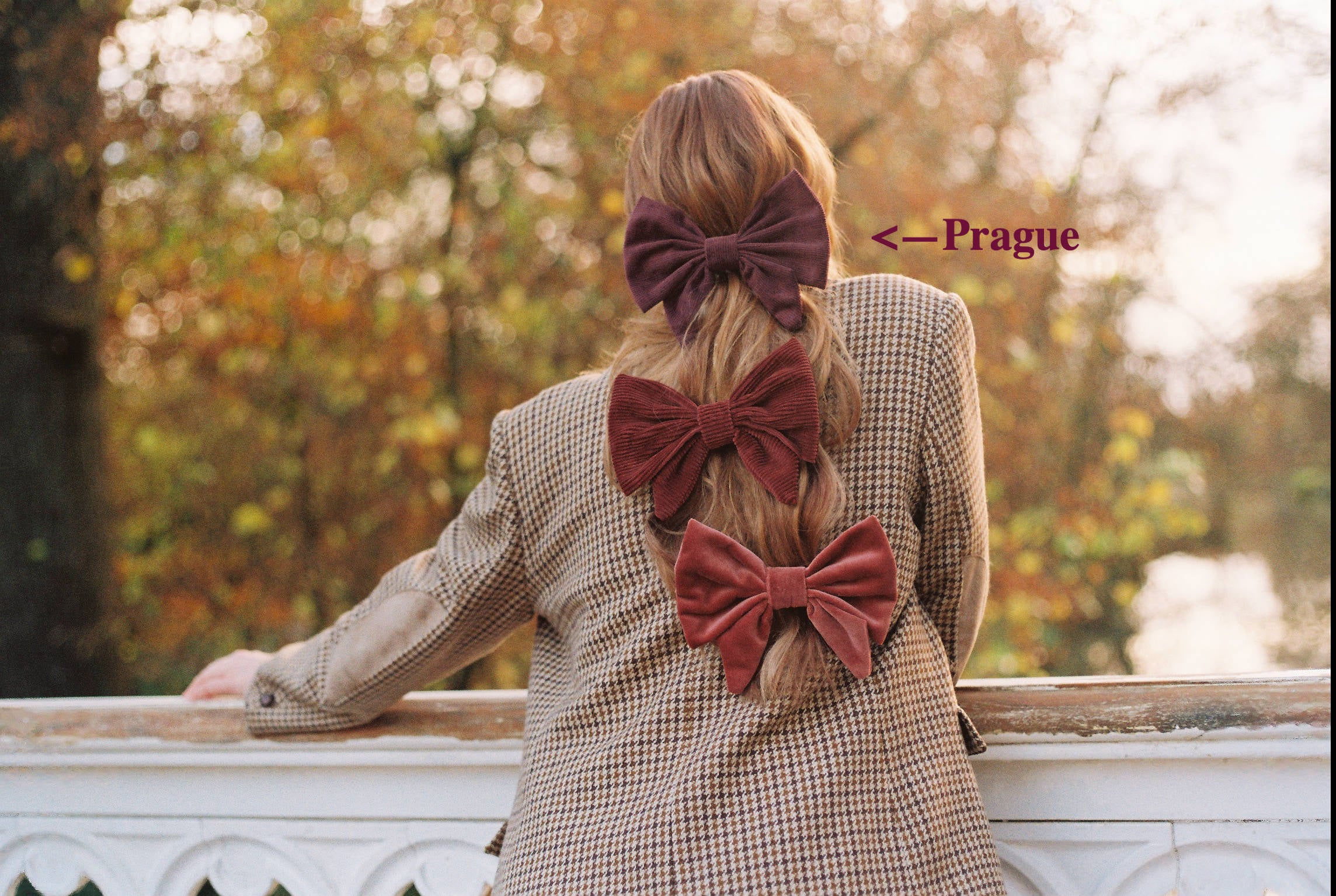 Bow Barrette - Prague - Grape